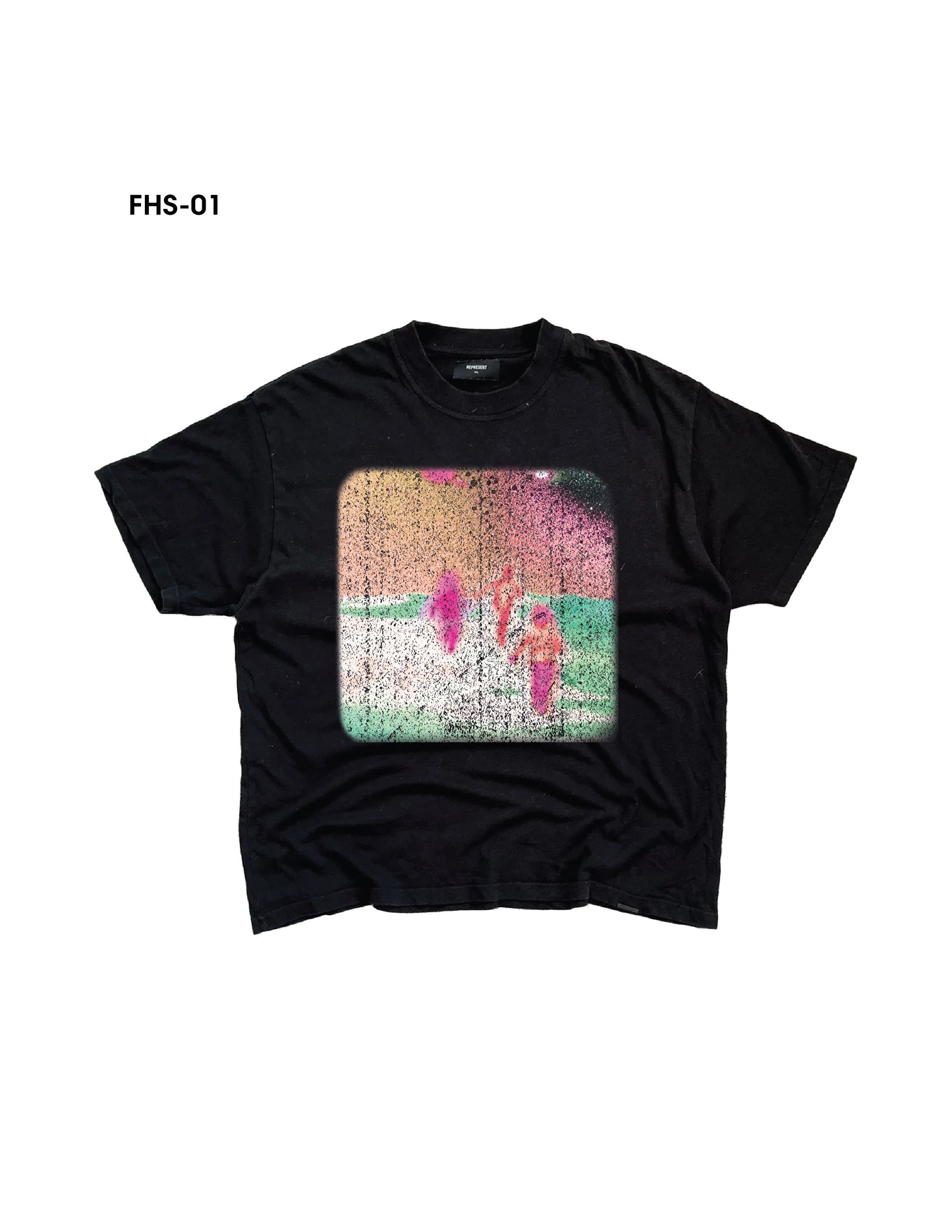 FHS-01